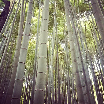 ぶらり旅_e0149215_20584049.png