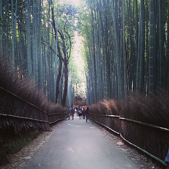 ぶらり旅_e0149215_20585372.png