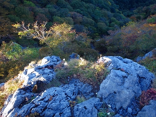 f0193521_1845751.jpg