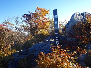 f0193521_18542254.jpg