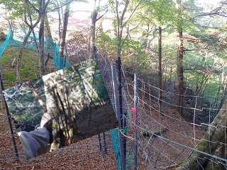 f0193521_1856578.jpg