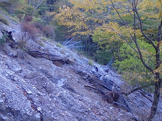 f0193521_1902157.jpg