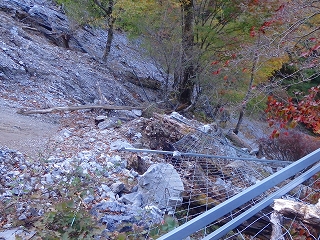 f0193521_190619.jpg