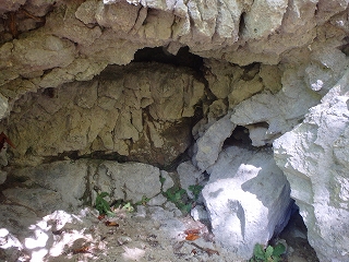 f0193521_1915331.jpg