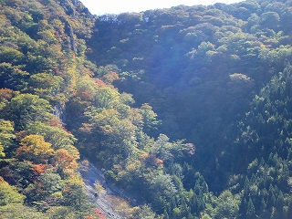 f0193521_1962179.jpg