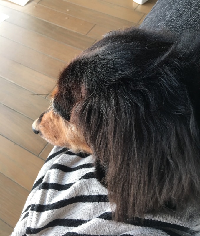b0029126_11273153.jpeg