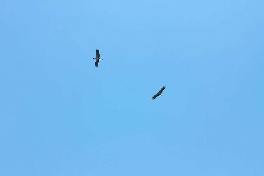 c0067040_22324893.jpg