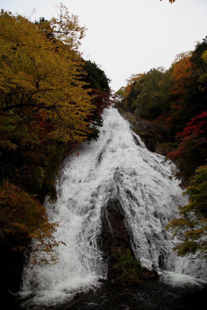 奥日光　紅葉　2015 その3_b0168647_22535189.jpg