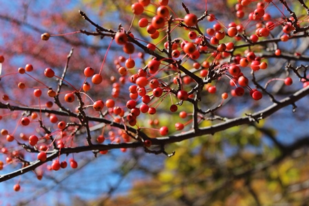 a0208560_13335771.jpg