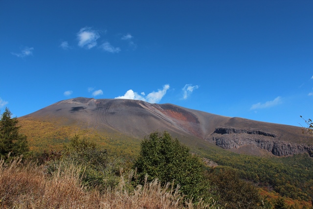 a0208560_13353086.jpg