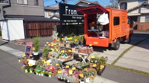 ウォンテッド 移動花屋オールドスクール Old School物語