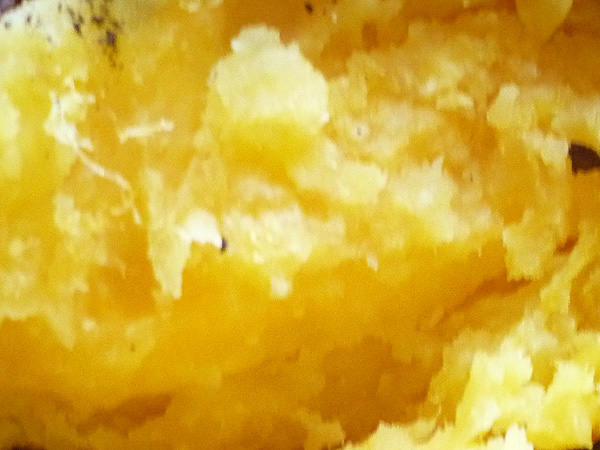 c0152767_222388.jpg