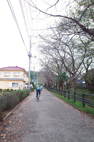 a0232368_20134832.jpeg