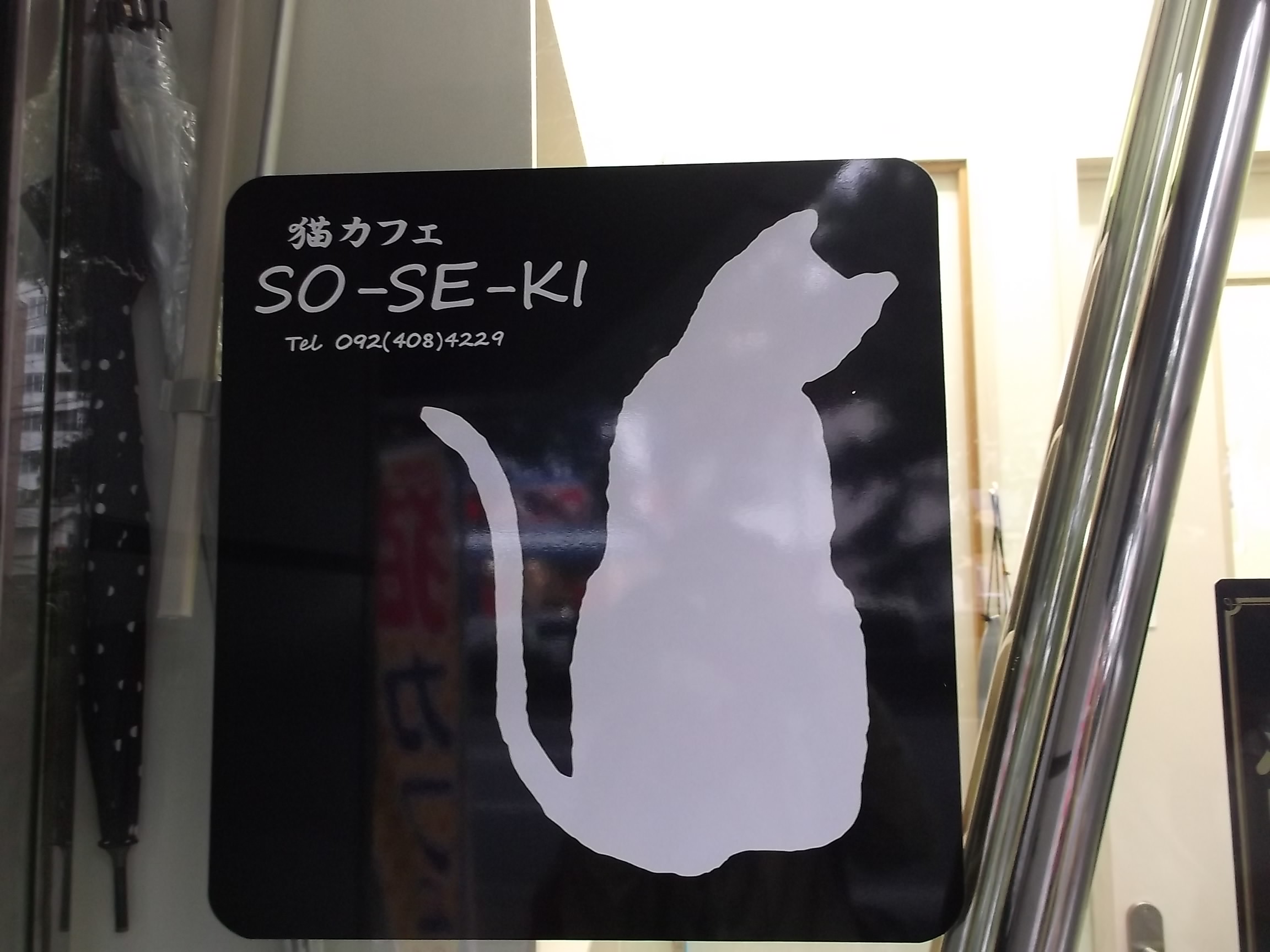 猫カフェso Se Ki ネコと文学と猫ブンガク 猫カフェso Se Ki ネコと文学と猫ブンガク
