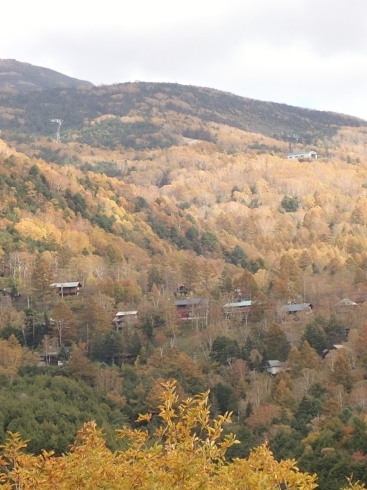 f0350468_20575561.jpg