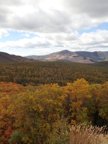 f0350468_21033642.jpg
