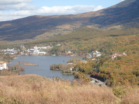 f0350468_21083308.jpg