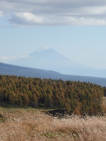 f0350468_21100176.jpg