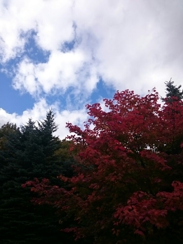 c0311170_12595531.jpg