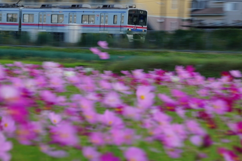 d0341483_20304500.jpg