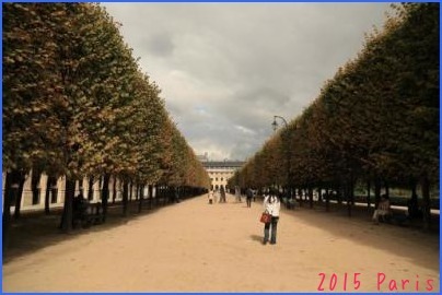 2015 Paris文化遺産の日を巡る旅☆ 〜パレロワイヤル編〜_d0044986_22263490.jpg