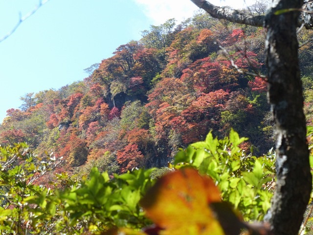 大船山の紅葉（９月１３日）_f0357487_1404891.jpg