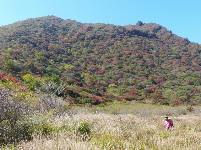 大船山の紅葉（９月１３日）_f0357487_1418323.jpg