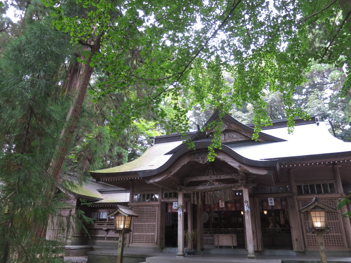 201510九州ドライブ　4日目　神社・黒川温泉_b0339488_20373757.jpg