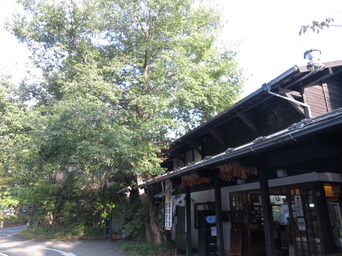 201510九州ドライブ　4日目　神社・黒川温泉_b0339488_20380283.jpg