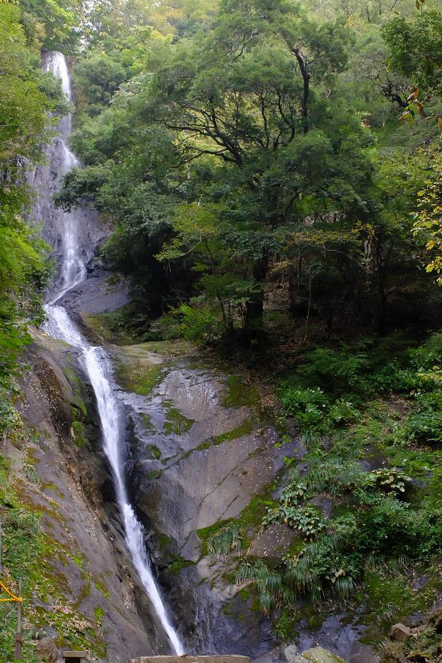 d0069495_08591630.jpg