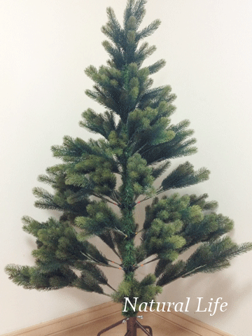 b0162000_175012.gif