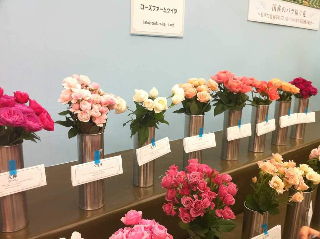 国際バラとガーデニングショウ_d0339703_14590242.jpg