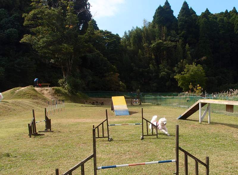 e0018604_07262078.jpg