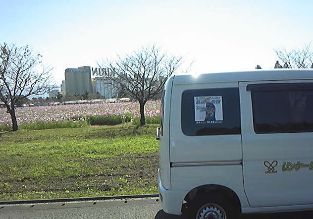b0147805_08195665.png