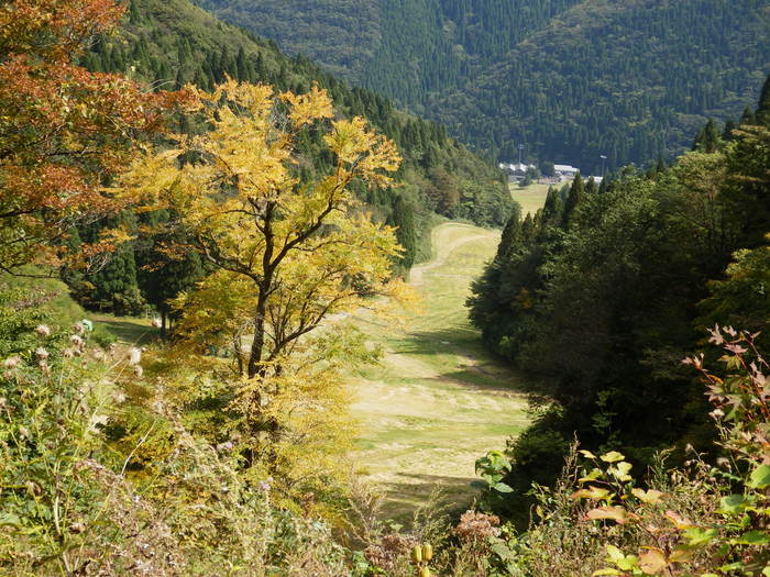 f0219710_19483278.jpg