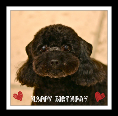 Happy Birthday♡ケリーちゃん_d0060413_2095036.jpg