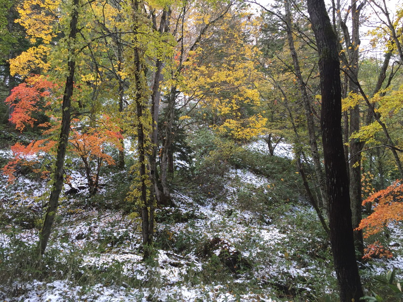 2015年10月『山に初雪の頃』　October 2015 \"The time of first snow in the mountains\"_c0219616_17291225.jpg
