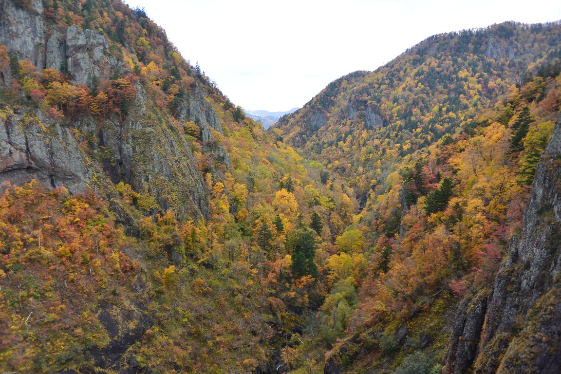 2015年10月『山に初雪の頃』　October 2015 \"The time of first snow in the mountains\"_c0219616_17401749.jpg