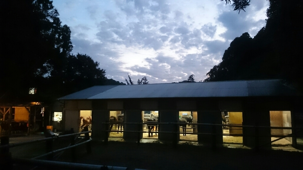 b0187620_20240966.jpg