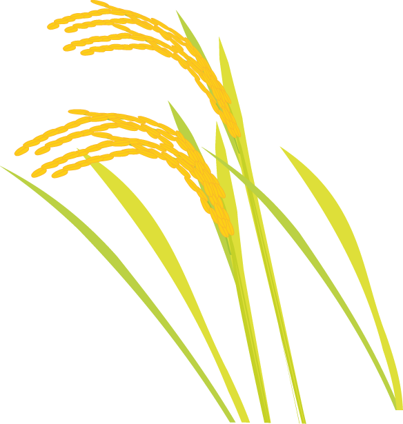 収穫の喜び 賀名生分校ブログ 青春日和