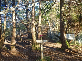 f0193521_7302915.jpg