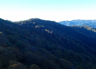 f0193521_7311013.jpg