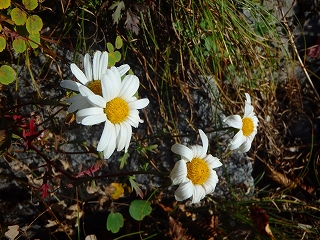f0193521_7313029.jpg