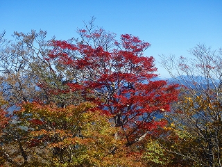 f0193521_931094.jpg