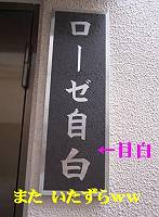 d0065324_20582030.jpg