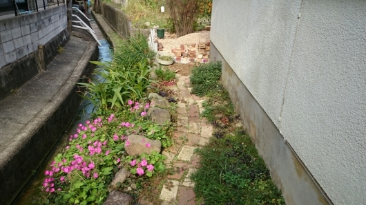 e0263224_23322472.jpg