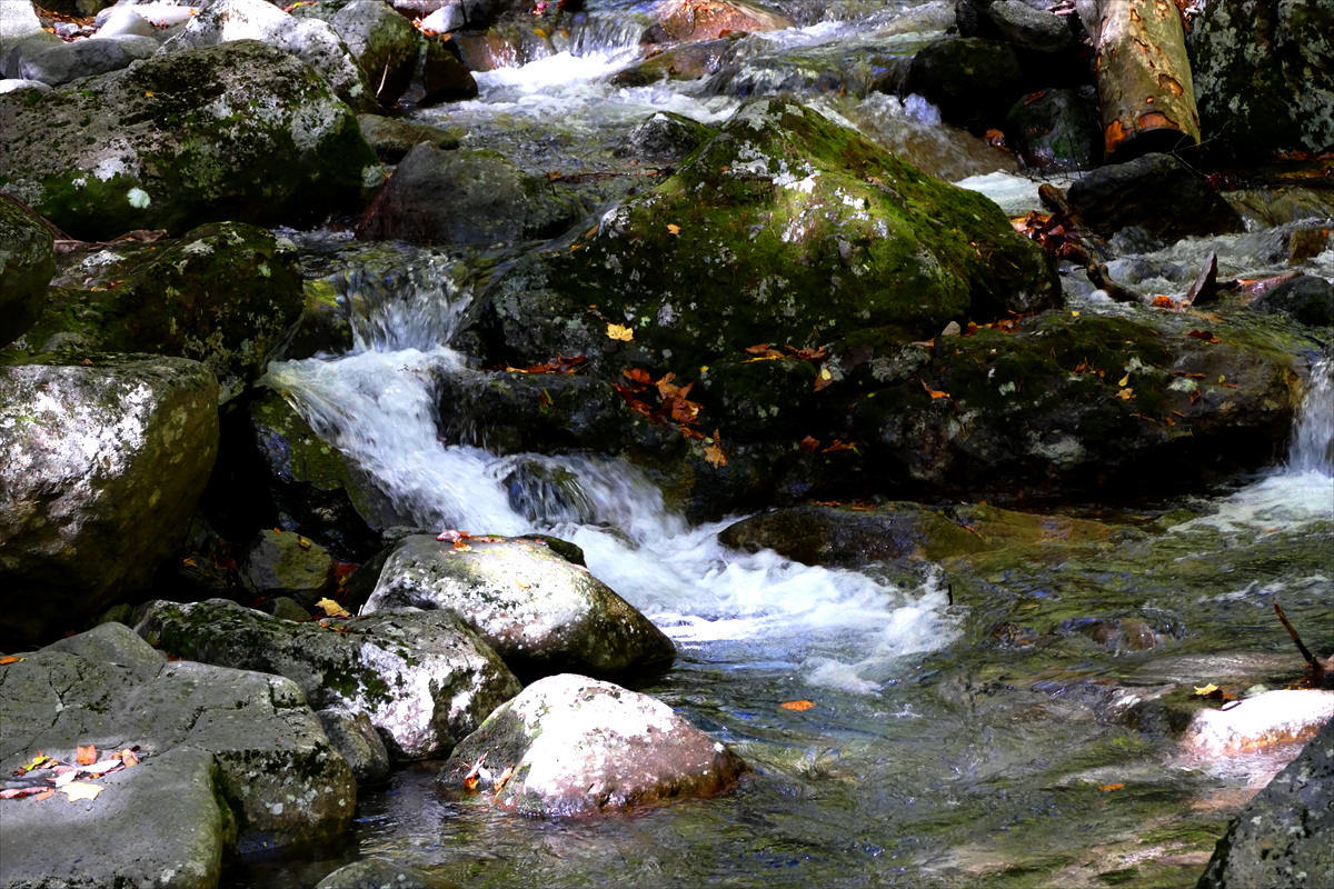 福島県二本松市　「あだたら渓谷奥岳自然遊歩道散策」　②_d0106628_07190560.jpg