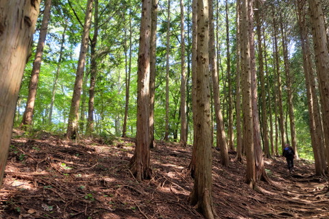 b0281732_9342848.jpg