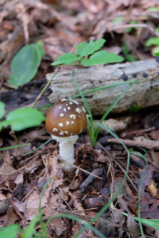 b0281732_9353748.jpg