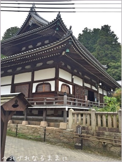 d0017632_19244623.jpeg